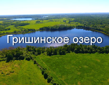 Участок 20 Га с берегом озера Гришинское
