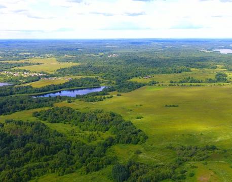 Земля 4,5 Га на берегу озера Линевец